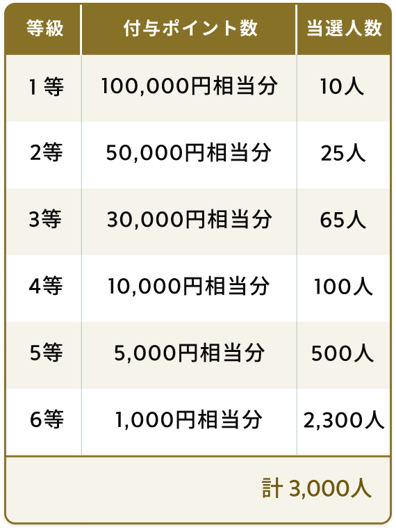 1等 付与ポイント数100,000円相当分 当選人数10人 / 2等 付与ポイント数50,000円相当分 当選人数25人 / 3等 付与ポイント数30,000円相当分 当選人数65人 / 4等 付与ポイント数10,000円相当分 当選人数100人 / 5等 付与ポイント数5,000円相当分 当選人数500人 / 6等 付与ポイント数1,000円相当分 当選人数2,300人 / 計 3,000人