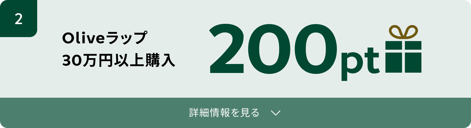 2. Oliveラップ30万円以上購入 200pt 詳細情報を見る